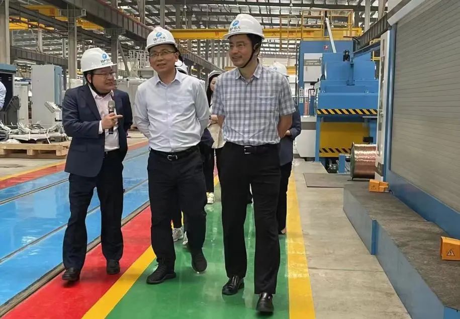 集團(tuán)黨委委員、副總裁李剛蒞臨公司考察調(diào)研